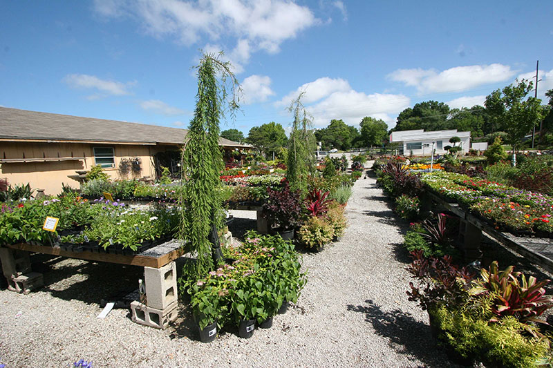 Green Thumb Nursery & Greenhouses Bartlesville, Oklahoma